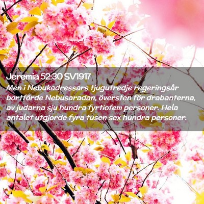 Picture 02 - Jeremia 52:30 SV1917 - Men i Nebukadressars tjugutredje regeringsår - Bible Verse Picture