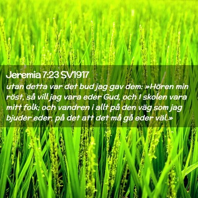 Picture 02 - Jeremia 7:23 SV1917 - utan detta var det bud jag gav dem: »Hören min - Bible Verse Picture