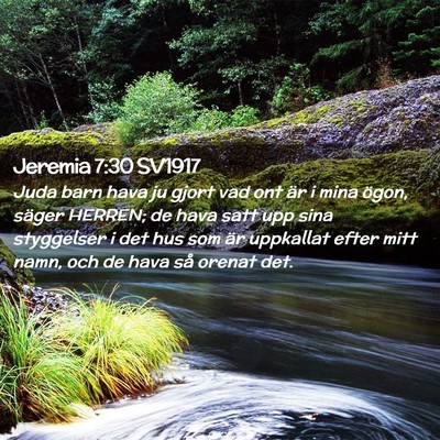 Picture 02 - Jeremia 7:30 SV1917 - Juda barn hava ju gjort vad ont är i mina ögon, - Bible Verse Picture
