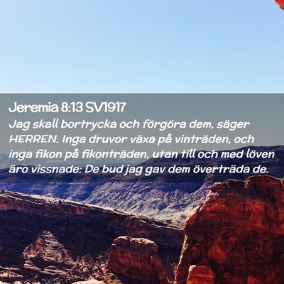 Picture 02 - Jeremia 8:13 SV1917 - Jag skall bortrycka och förgöra dem, säger - Bible Verse Picture