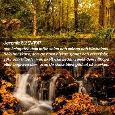 Picture 02 - Jeremia 8:2 SV1917 - och kringströ dem inför solen och månen och - Bible Verse Picture