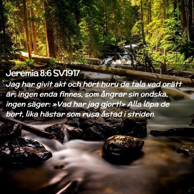 Picture 02 - Jeremia 8:6 SV1917 - Jag har givit akt och hört huru de tala vad - Bible Verse Picture