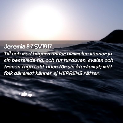 Picture 02 - Jeremia 8:7 SV1917 - Till och med hägern under himmelen känner ju - Bible Verse Picture