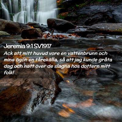 Picture 02 - Jeremia 9:1 SV1917 - Ack att mitt huvud vore en vattenbrunn och mina - Bible Verse Picture