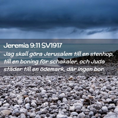 Picture 02 - Jeremia 9:11 SV1917 - Jag skall göra Jerusalem till en stenhop, till - Bible Verse Picture