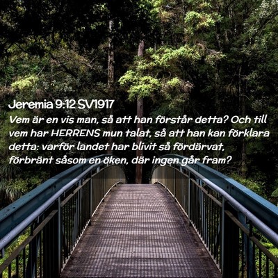 Picture 02 - Jeremia 9:12 SV1917 - Vem är en vis man, så att han förstår detta? - Bible Verse Picture