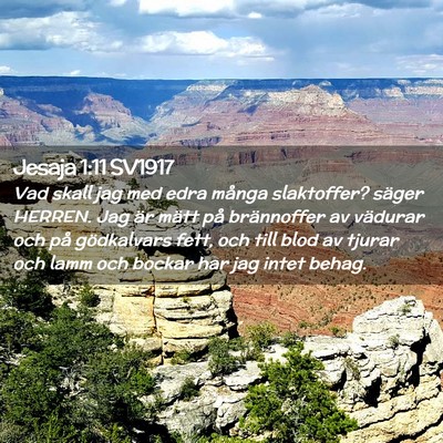 Picture 02 - Jesaja 1:11 SV1917 - Vad skall jag med edra många slaktoffer? säger - Bible Verse Picture