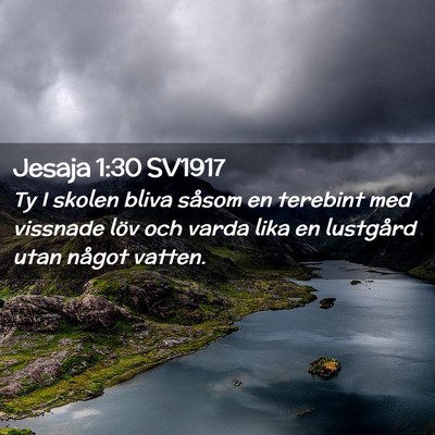 Picture 02 - Jesaja 1:30 SV1917 - Ty I skolen bliva såsom en terebint med vissnade - Bible Verse Picture