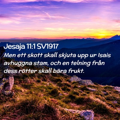 Picture 02 - Jesaja 11:1 SV1917 - Men ett skott skall skjuta upp ur Isais avhuggna - Bible Verse Picture