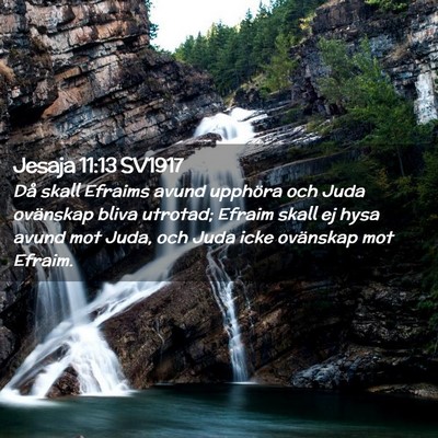 Picture 02 - Jesaja 11:13 SV1917 - Då skall Efraims avund upphöra och Juda - Bible Verse Picture