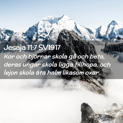 Picture 02 - Jesaja 11:7 SV1917 - Kor och björnar skola gå och beta, deras ungar - Bible Verse Picture