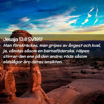 Picture 02 - Jesaja 13:8 SV1917 - Man förskräckes, man gripes av ångest och - Bible Verse Picture
