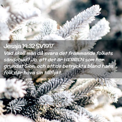 Picture 02 - Jesaja 14:32 SV1917 - Vad skall man då svara det främmande folkets - Bible Verse Picture