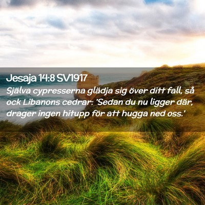 Picture 02 - Jesaja 14:8 SV1917 - Själva cypresserna glädja sig över ditt fall, - Bible Verse Picture