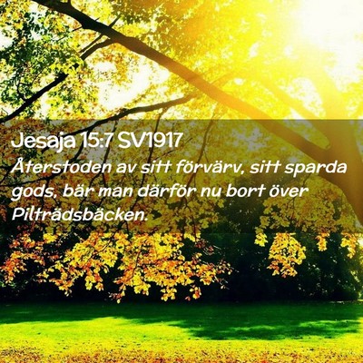 Picture 02 - Jesaja 15:7 SV1917 - Återstoden av sitt förvärv, sitt sparda gods, - Bible Verse Picture