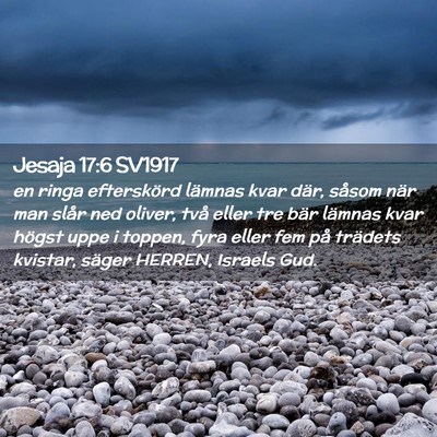 Picture 02 - Jesaja 17:6 SV1917 - en ringa efterskörd lämnas kvar där, såsom - Bible Verse Picture
