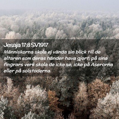 Picture 02 - Jesaja 17:8 SV1917 - Människorna skola ej vända sin blick till de - Bible Verse Picture