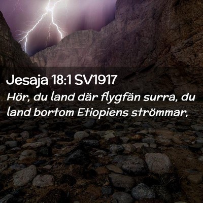 Picture 02 - Jesaja 18:1 SV1917 - Hör, du land där flygfän surra, du land bortom - Bible Verse Picture