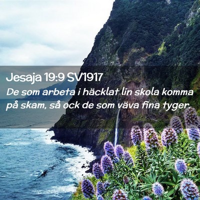 Picture 02 - Jesaja 19:9 SV1917 - De som arbeta i häcklat lin skola komma på - Bible Verse Picture