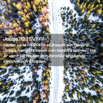 Picture 02 - Jesaja 20:3 SV1917 - Sedan sade HERREN: »Likasom min tjänare Jesaja - Bible Verse Picture