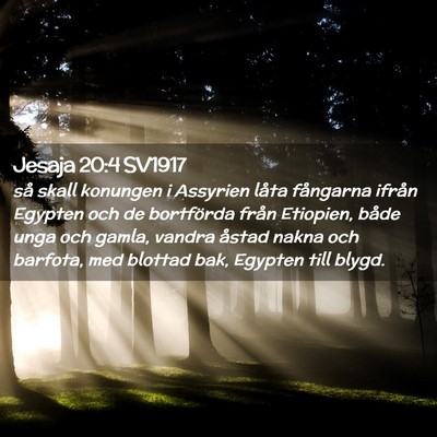 Picture 02 - Jesaja 20:4 SV1917 - så skall konungen i Assyrien låta fångarna - Bible Verse Picture