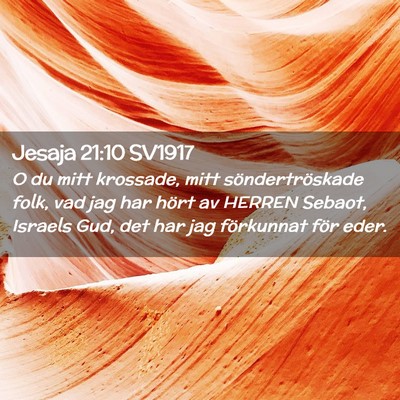 Picture 02 - Jesaja 21:10 SV1917 - O du mitt krossade, mitt söndertröskade folk, - Bible Verse Picture