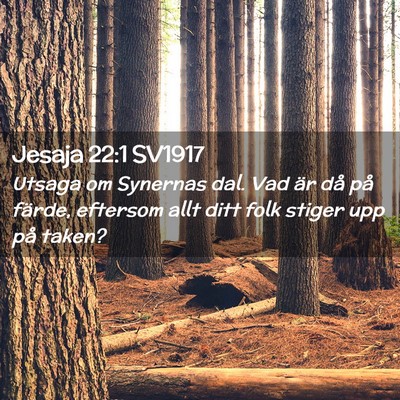 Picture 02 - Jesaja 22:1 SV1917 - Utsaga om Synernas dal. Vad är då på färde, - Bible Verse Picture