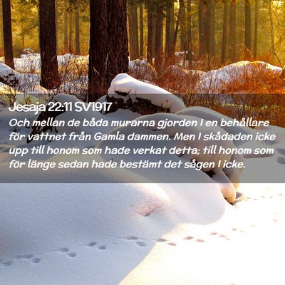 Picture 02 - Jesaja 22:11 SV1917 - Och mellan de båda murarna gjorden I en - Bible Verse Picture