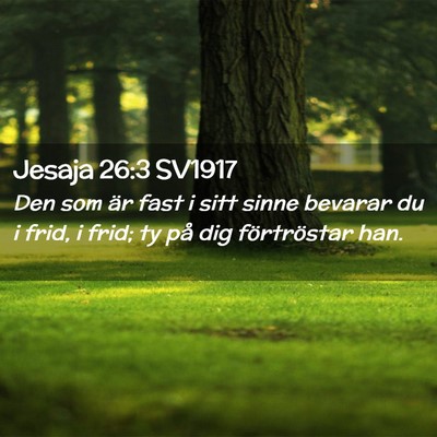 Picture 02 - Jesaja 26:3 SV1917 - Den som är fast i sitt sinne bevarar du i frid, - Bible Verse Picture