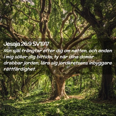 Picture 02 - Jesaja 26:9 SV1917 - Min själ trängtar efter dig om natten, och - Bible Verse Picture