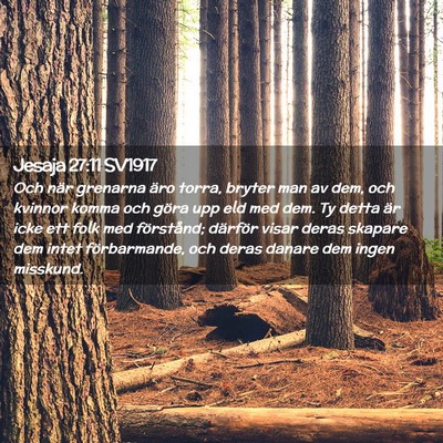 Picture 02 - Jesaja 27:11 SV1917 - Och när grenarna äro torra, bryter man av dem, - Bible Verse Picture
