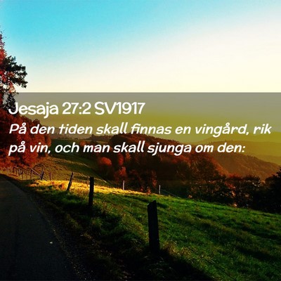 Picture 02 - Jesaja 27:2 SV1917 - På den tiden skall finnas en vingård, rik på - Bible Verse Picture
