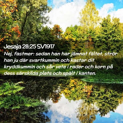Picture 02 - Jesaja 28:25 SV1917 - Nej, fastmer: sedan han har jämnat fältet, - Bible Verse Picture