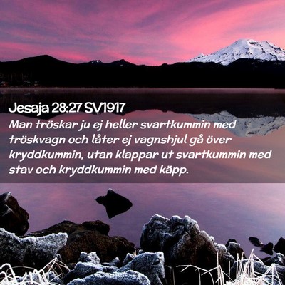 Picture 02 - Jesaja 28:27 SV1917 - Man tröskar ju ej heller svartkummin med - Bible Verse Picture