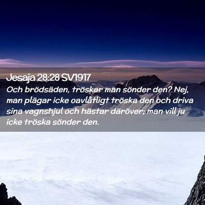Picture 02 - Jesaja 28:28 SV1917 - Och brödsäden, tröskar man sönder den? Nej, - Bible Verse Picture