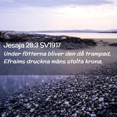 Picture 02 - Jesaja 28:3 SV1917 - Under fötterna bliver den då trampad, Efraims - Bible Verse Picture