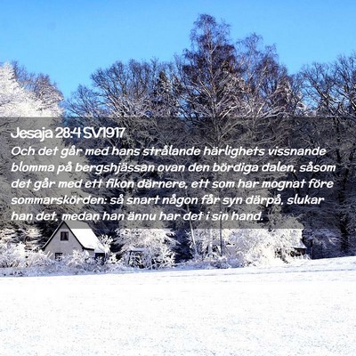 Picture 02 - Jesaja 28:4 SV1917 - Och det går med hans strålande härlighets - Bible Verse Picture