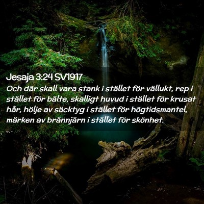 Picture 02 - Jesaja 3:24 SV1917 - Och där skall vara stank i stället för - Bible Verse Picture