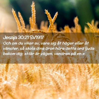 Picture 02 - Jesaja 30:21 SV1917 - Och om du viker av, vare sig åt höger eller åt - Bible Verse Picture