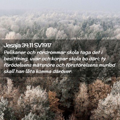Picture 02 - Jesaja 34:11 SV1917 - Pelikaner och rördrommar skola taga det i - Bible Verse Picture