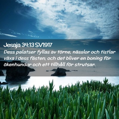Picture 02 - Jesaja 34:13 SV1917 - Dess palatser fyllas av törne, nässlor och - Bible Verse Picture