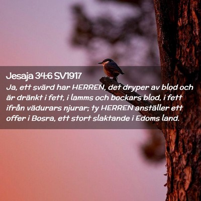 Picture 02 - Jesaja 34:6 SV1917 - Ja, ett svärd har HERREN, det dryper av blod och - Bible Verse Picture