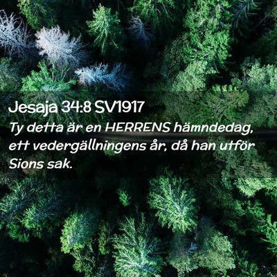 Picture 02 - Jesaja 34:8 SV1917 - Ty detta är en HERRENS hämndedag, ett - Bible Verse Picture