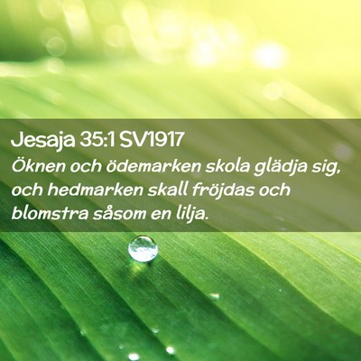 Picture 02 - Jesaja 35:1 SV1917 - Öknen och ödemarken skola glädja sig, och - Bible Verse Picture