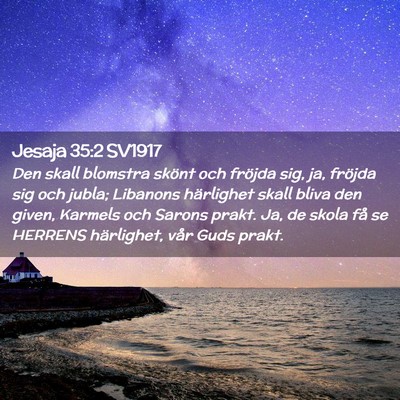 Picture 02 - Jesaja 35:2 SV1917 - Den skall blomstra skönt och fröjda sig, ja, - Bible Verse Picture