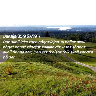 Picture 02 - Jesaja 35:9 SV1917 - Där skall icke vara något lejon, ej heller - Bible Verse Picture