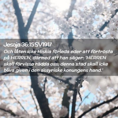 Picture 02 - Jesaja 36:15 SV1917 - Och låten icke Hiskia förleda eder att - Bible Verse Picture