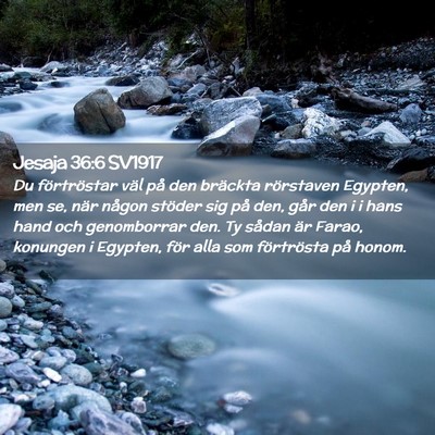 Picture 02 - Jesaja 36:6 SV1917 - Du förtröstar väl på den bräckta rörstaven - Bible Verse Picture