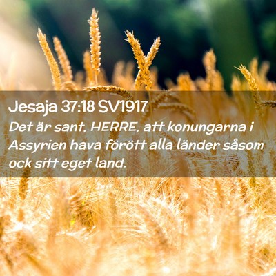 Picture 02 - Jesaja 37:18 SV1917 - Det är sant, HERRE, att konungarna i Assyrien - Bible Verse Picture