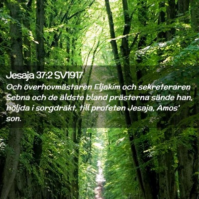 Picture 02 - Jesaja 37:2 SV1917 - Och överhovmästaren Eljakim och sekreteraren - Bible Verse Picture